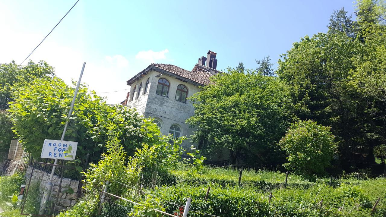 Pandora Villa Mavrovo Dış mekan fotoğraf