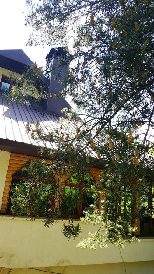 Pandora Villa Mavrovo Dış mekan fotoğraf